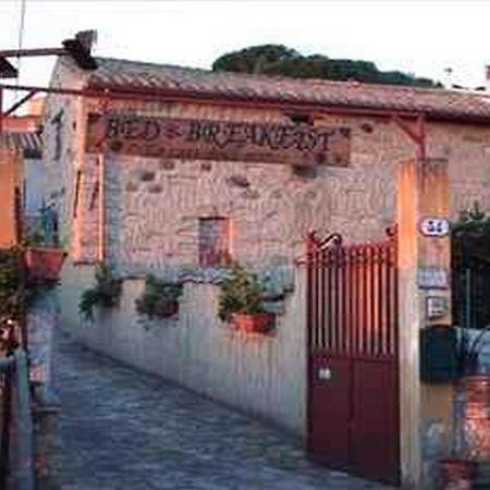 Casa Degli Aranci Ξενοδοχείο Villanovaforru Εξωτερικό φωτογραφία