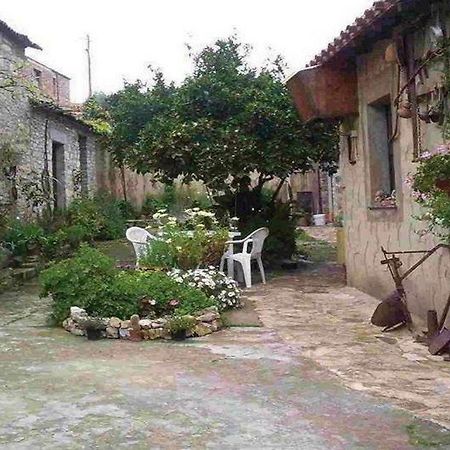 Casa Degli Aranci Ξενοδοχείο Villanovaforru Εξωτερικό φωτογραφία