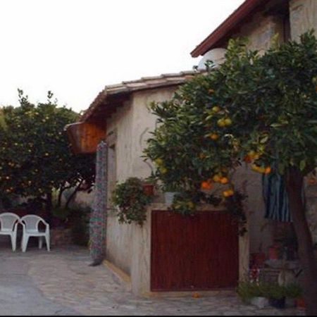Casa Degli Aranci Ξενοδοχείο Villanovaforru Εξωτερικό φωτογραφία