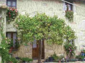 Casa Degli Aranci Ξενοδοχείο Villanovaforru Εξωτερικό φωτογραφία